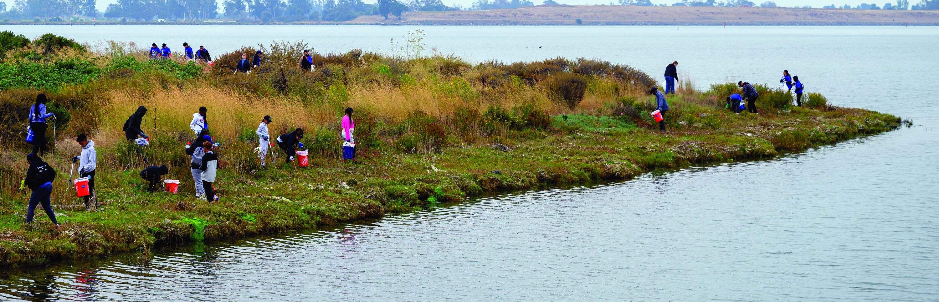 Volunteers equipped with grabbers, bags and buckets dot the estuary cleaning up trash.