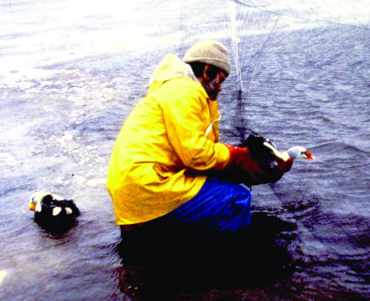 A volunteer wearing a beanie and yellow raincoat squats in oily water and uses gloved hands to remove a dark bodied bird with a white and orange head out of a net.