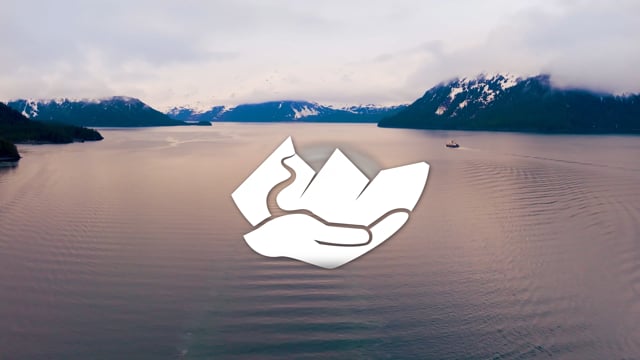 vimeo placeholder image